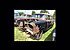 1957 Chevrolet Bel Air for sale 101593539